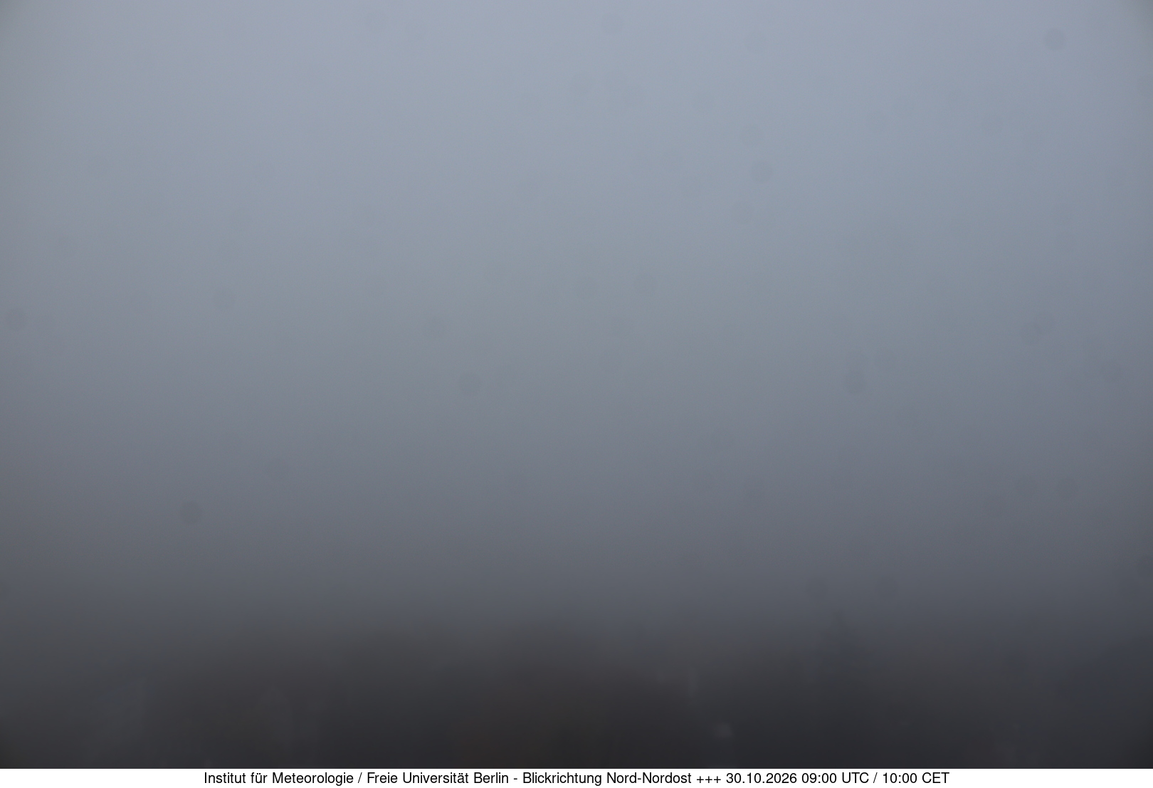 Webcam Bild